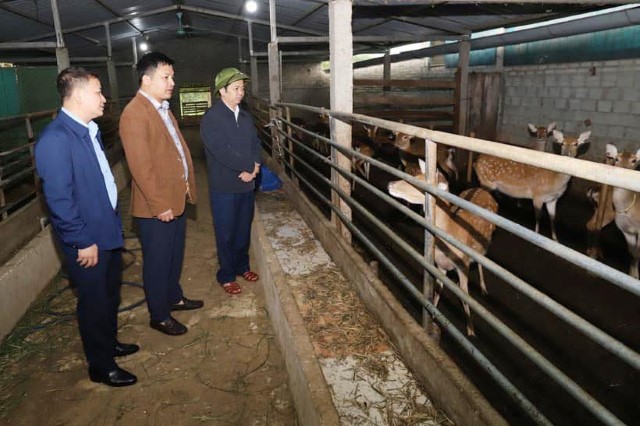 Sơn Lễ họp rà soát Tiêu chí Xây dựng xã NTM nâng cao