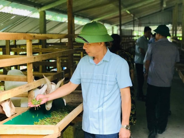 Gương sáng cựu chính binh làm kinh tế giỏi